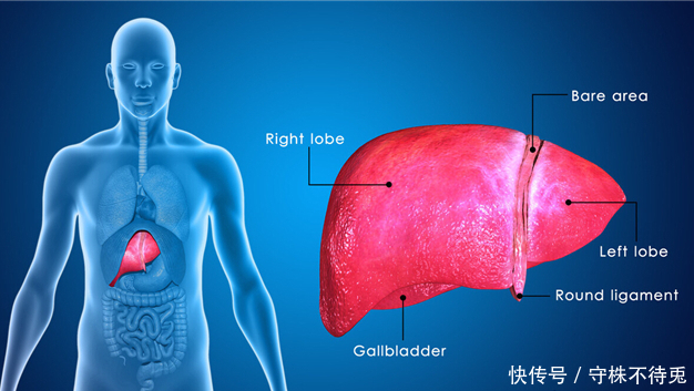 奇怪|22个冷知识:真实存在着,但只有少数人知晓的奇怪知识