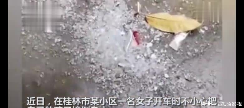  血迹斑斑|妈妈倒车时不慎撞死自己孩子，车身贴着实习标志，现场血迹斑斑