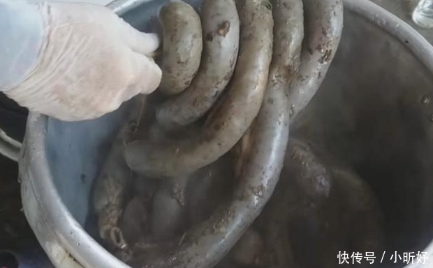 大妈|大妈路边卖它,20元一斤,每天6大锅不够卖,顾客:就怕来晚