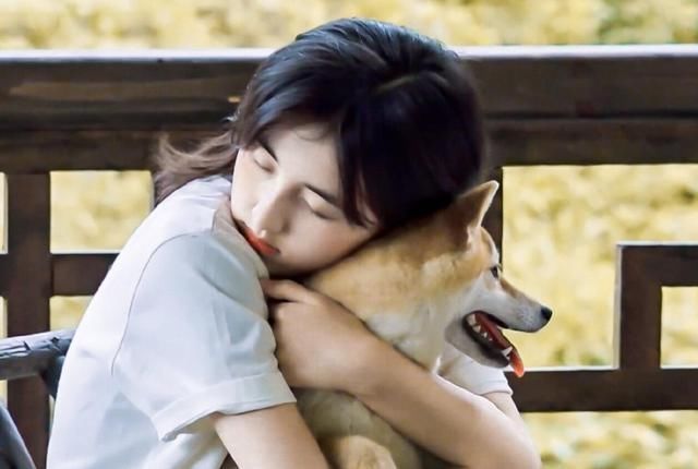 向往|泪目《向往的生活》完美收官,彭彭一句话暗示节目第5季命运