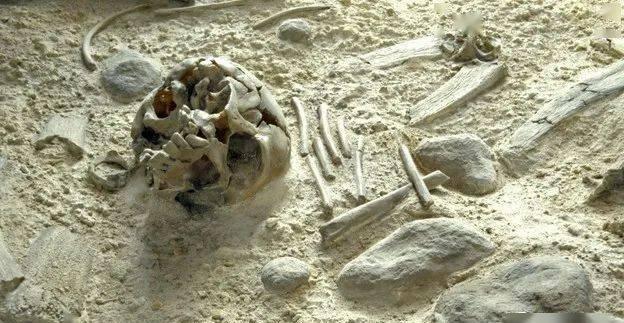 图源|北极圈着火!气温直逼38度,科学家恐冰川融化远古病毒复活