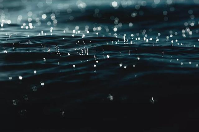  澳大利亚|世界上最浪的男人，浪了11年却得到18万人的喜爱