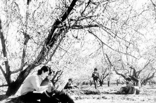 值得|张秀阳:1979年,考上中师是值得炫耀的事吗