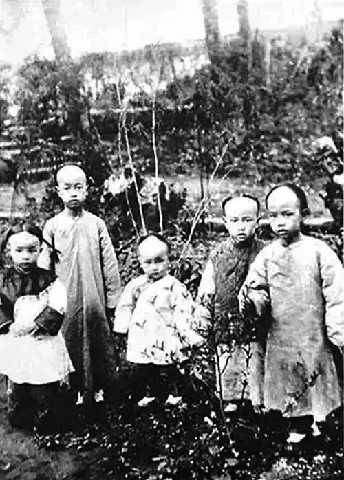 陈寅恪|有几十个文凭的胡适与一个文凭都没有的陈寅恪,为何都能成大师?