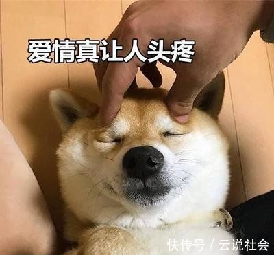 理科|别让理科男养猫,你永远不知道他会拿你的猫去计算些什么东西