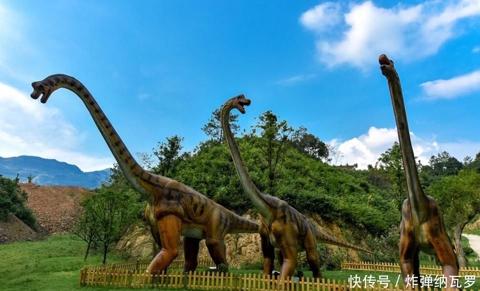 青山|青山环绕,清池密布,空气清新