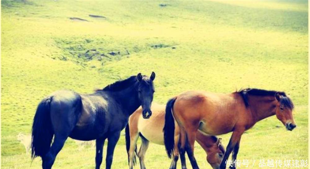 激动|朱元璋问一老农叫啥后，为何激动地封老人为官呢