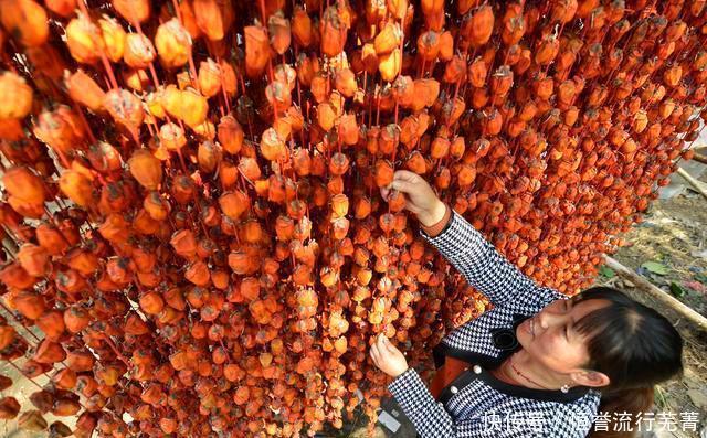 柿子|柿子变柿饼的方法大家要赶紧学起来
