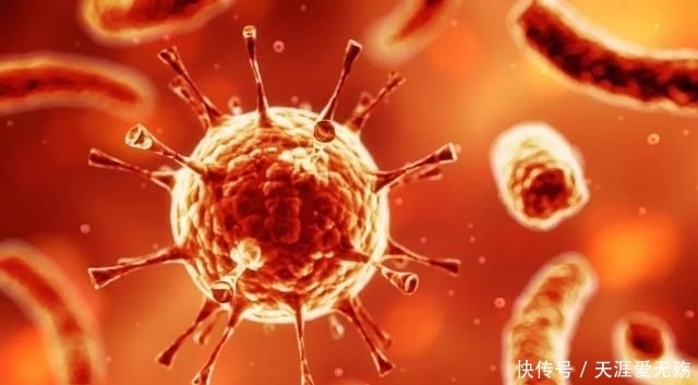  福井敬二|6000万人感染，1.2万人丧命，美国2009大瘟疫启示录