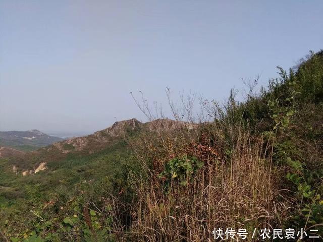 身体状况|为什么很多农村老人都说：穷人无病就是福？