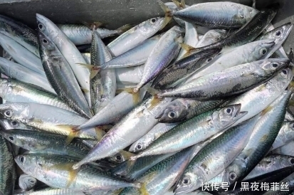 留香|秋季这5种海鲜最便宜,记得买十斤,晒干放到冬天吃,口口留香