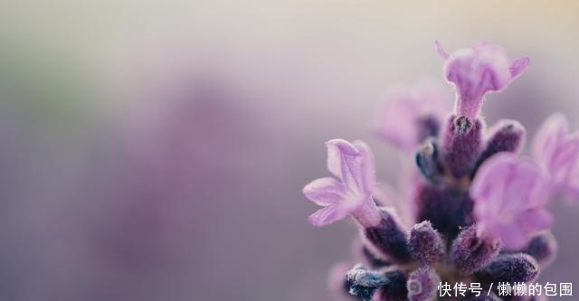 低层次|别去跟低层次的人争辩