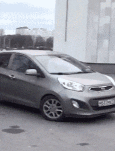 趣图|搞笑GIF趣图:没事我就出去溜溜,让这几个鸡仔羡慕嫉妒恨