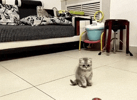 搞笑|搞笑GIF:左手防漏,是个严谨的人