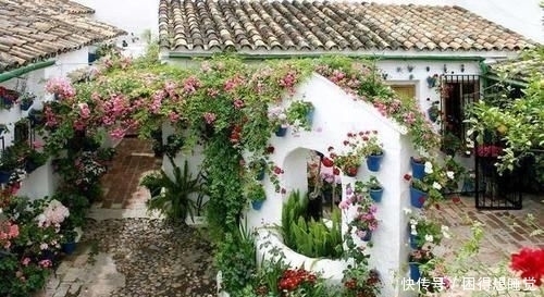 院子|年轻的时候努力赚钱,建一座这样的院子,老了过悠哉的生活