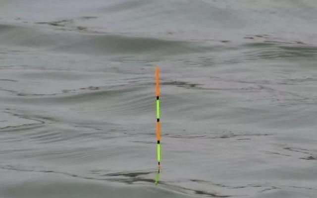 方法|夏天下风口真的好钓鱼，只是要找对位置，还要用对方法