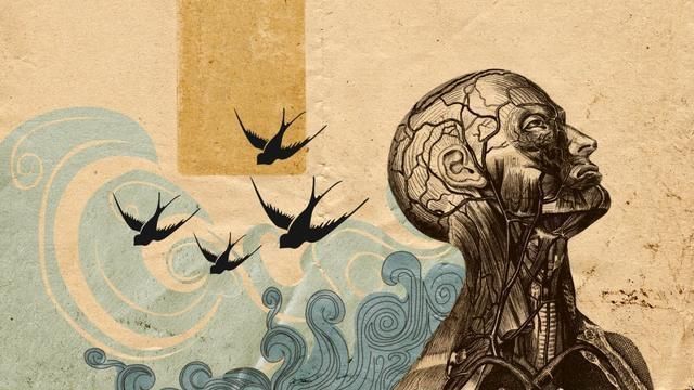 独立思考|心理学：那些带节奏的言论，是如何影响我们独立思考的？