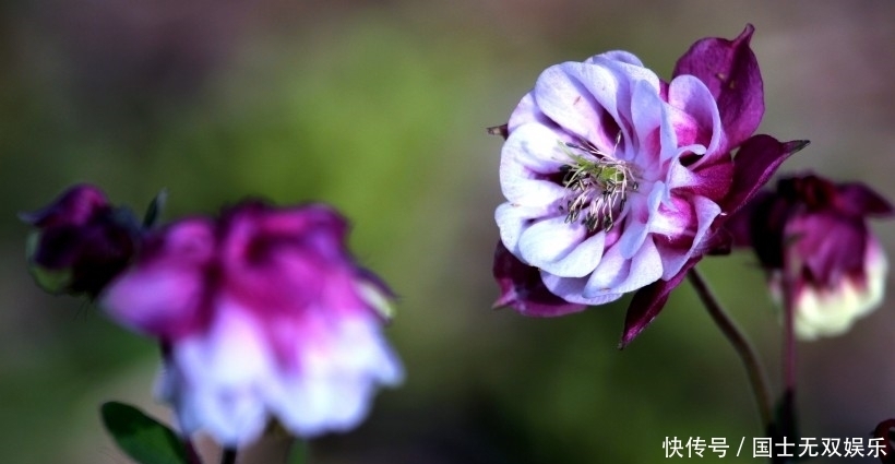 更多|预计下个礼拜,一见倾心,爱情逃不出手掌心的4大星座