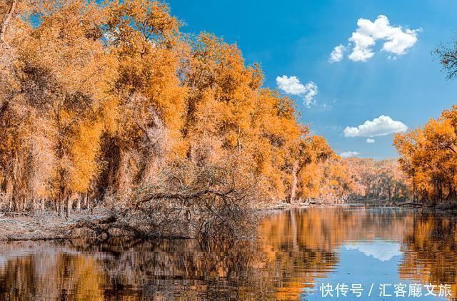 热烈|等待一年,只为胡杨林21天的极致灿烂和浓烈!