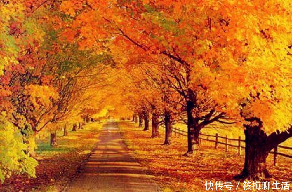 姻缘|10月内,月老赐姻缘,旧情留恋,3星座与旧爱真爱一生,彼此痴心