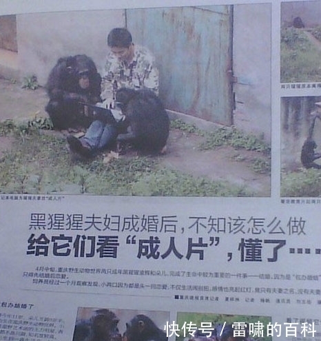 十足|妹子,你穿的衣服创意十足,很好看!