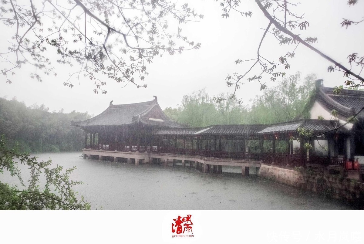 素心|散文:素心如简,人淡如茶