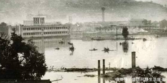  发生|揭秘1983年的蛇灾始末：一场大水过后的“雪上加霜”