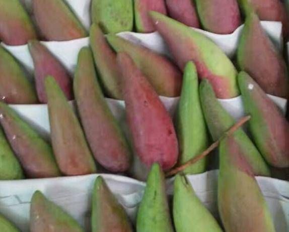 马上|网上买了一盒芒果,寄给我们后,有一盒辣椒,切完后,我们马上又订购了两盒