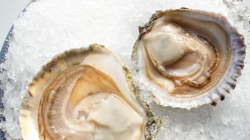 加拿大象拔|全球十大顶级海鲜,异常珍贵,尤其最后一种,有钱都不一定吃得到!