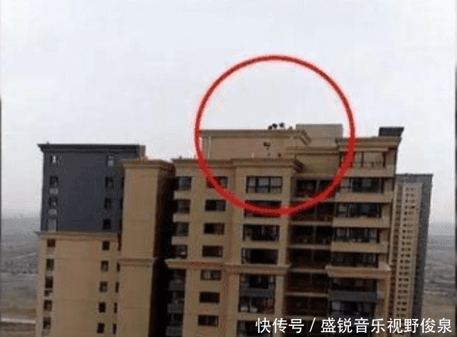 受不了|女子晒衣服,无意拍到“对面楼顶”照片,照片放大后心脏受不了