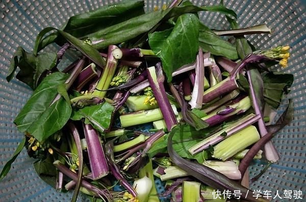 红菜薹|吃它瘦得快,润肠堪比香蕉,1盘相当于跑步半小时,不运动也能瘦
