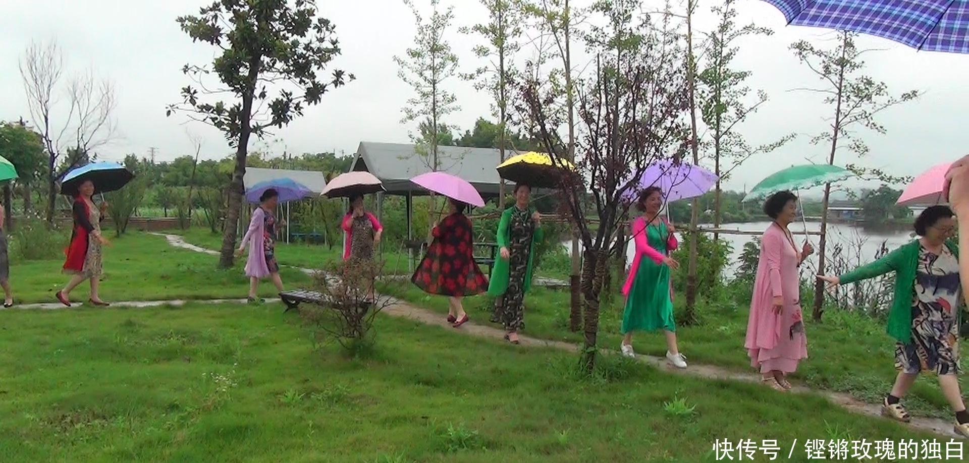 八中|马鞍山八中74届高中女生模特团:南京江宁竹庄生态园雨中走秀(音乐相册)