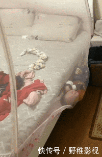 嫦娥|搞笑GIF:嫦娥姐姐是你吗?我是天蓬啊