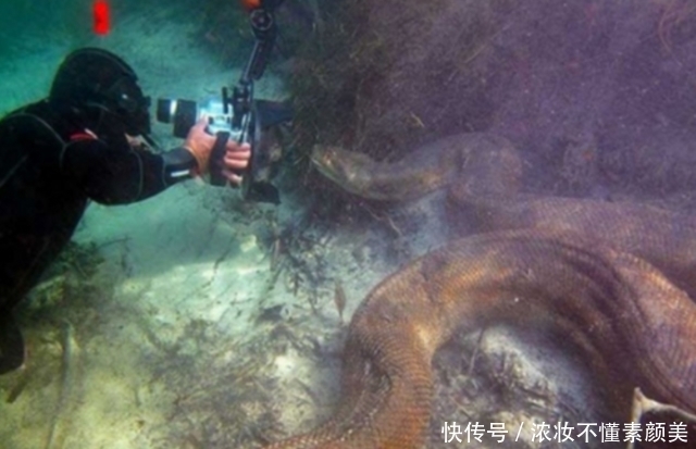 照片|这些照片真的没有经过任何PS处理,每一张都让人腿软!