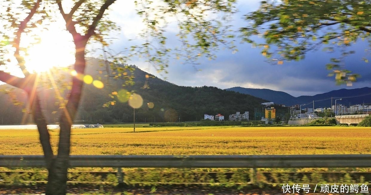 鱼水之|7月桃花似水,旧情似鱼,鱼水之情,难舍难分的3个星座