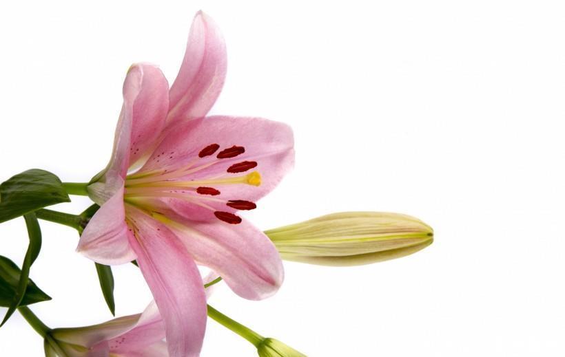 与日俱增|下周开始,3生肖迎来好运势,贵人提携,财运与日俱增!