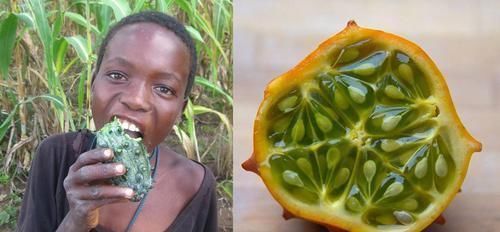 爆红|名字高大上,味道不如黄瓜,却在我国爆红,又是炒作起来的水果