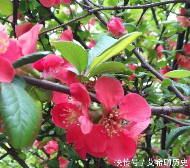 得罪|就算不拿司机当亲信，也要以礼相待。领导得罪司机，后果很严重