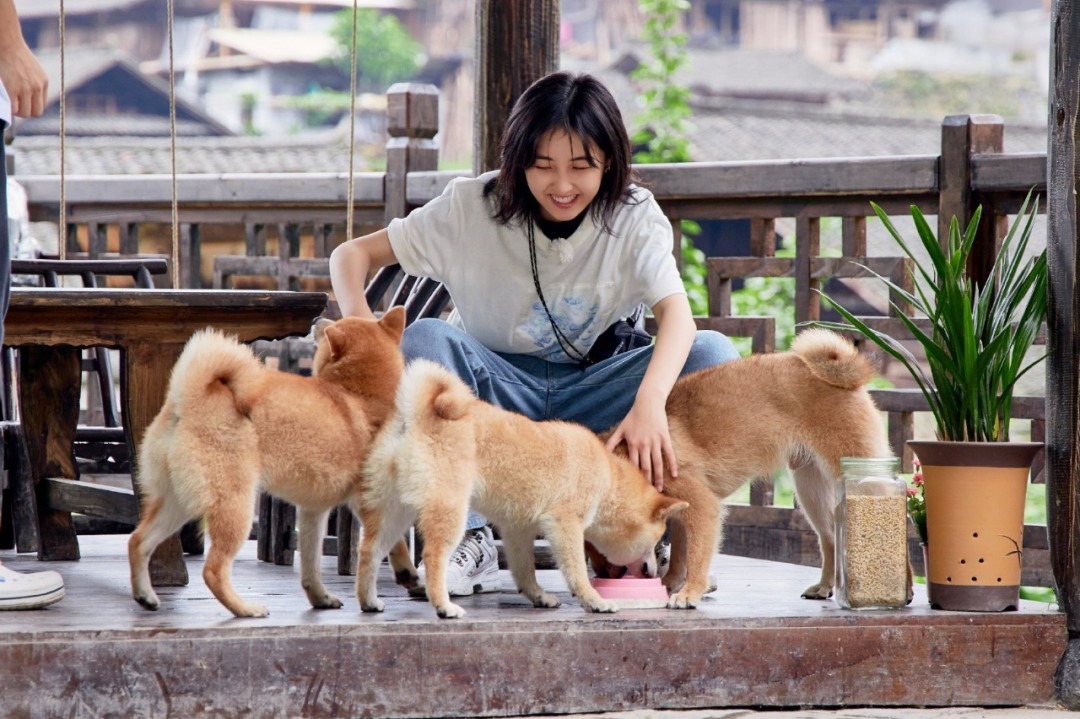  抄袭|《向往》再陷“抄袭”事件，不止内容框架一样，连时间先导也雷同
