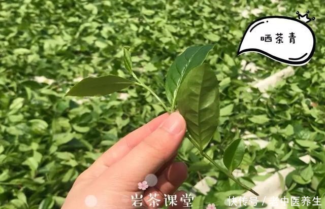 喜欢|喜欢喝武夷岩茶的你，听说过岩茶里的“倒青”吗