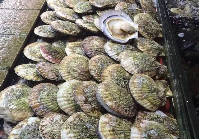 海鲜|世界上65种珍奇海鲜,贝爷都不敢说全部吃过,你吃过几种