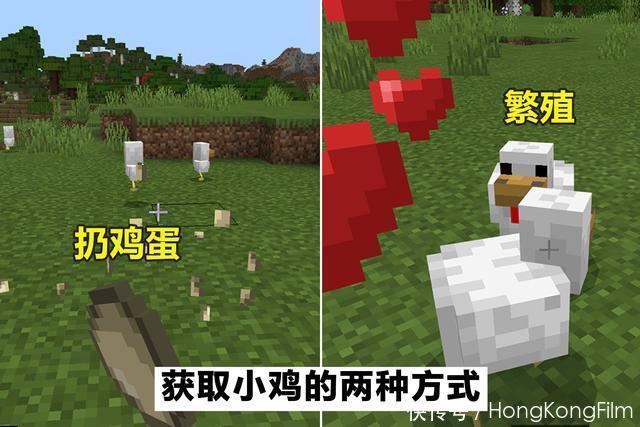 玩家|我的世界：设计巧妙的小鸡农场，从鸡蛋到熟鸡肉，全自动化运行