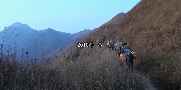 这部|这部有被冒犯到的纪录片,导演在线发资源