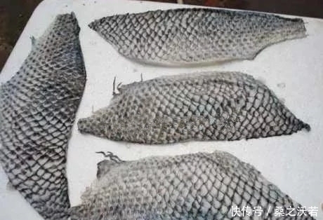 手臂|农村男子手臂意外烧伤,媳妇用鱼皮包裹,结果却让人惊喜