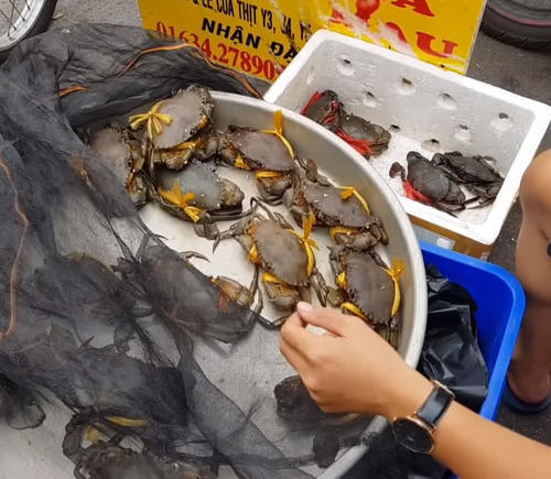 没想到|泰国街头的大螃蟹,一斤20块,以为捡到宝,没想到是“缩水”蟹