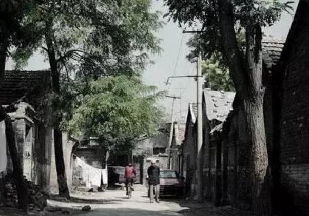 回忆|一组珍贵的老照片河北保定景象,有没有勾起你的回忆