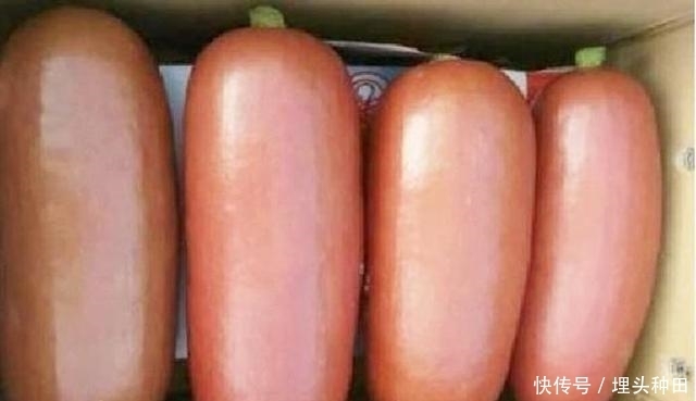 香肠|大叔街边摆摊卖巨型“香肠”,小伙买了一根,大叔切开后爆笑不止