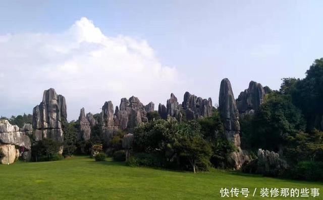 花浇水|养花也有大学问！养花容易养死，多半是没做到此几点