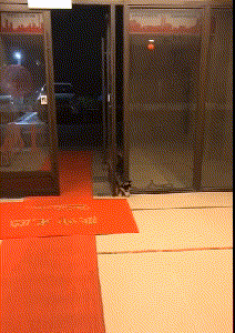 爸妈|搞笑GIF:爸妈才是真爱,我只是个小小的意外!