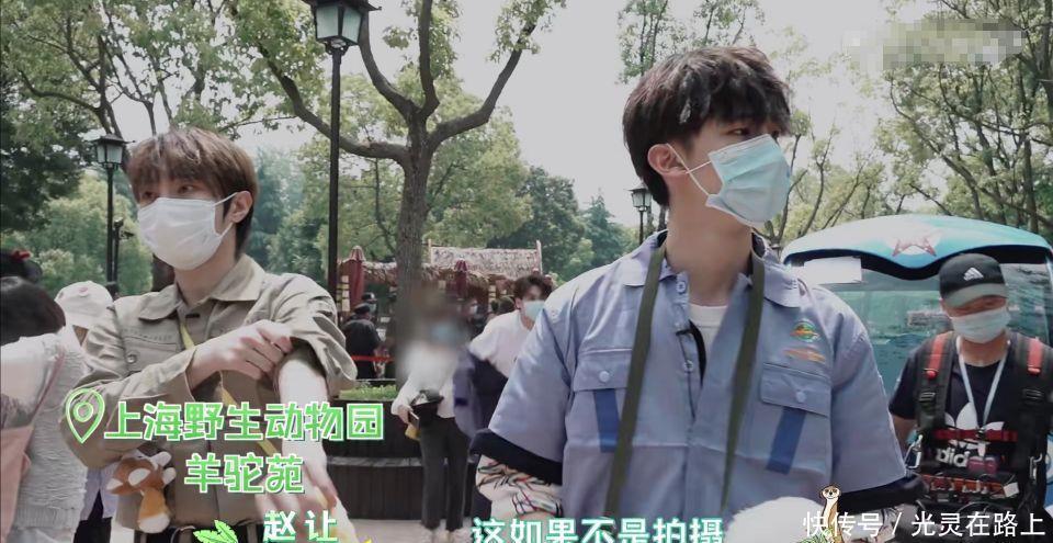  小团|R1SE小团综：何洛洛给羊驼剪毛吓到周震南，任豪气场压制河马